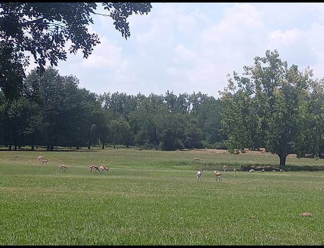 295M² VACANT LAND FOR SALE IN RISIVILLE